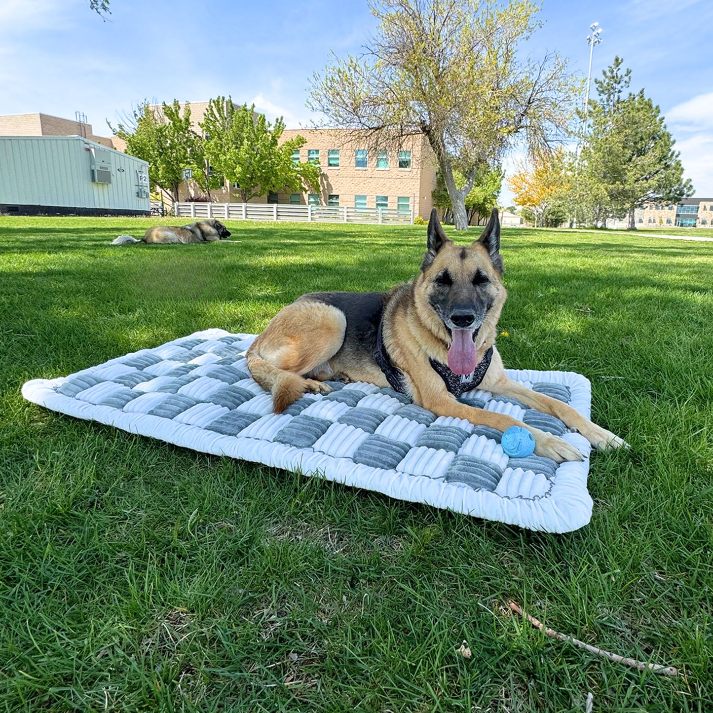 ComfyCushion™ Luxe Dog Bed