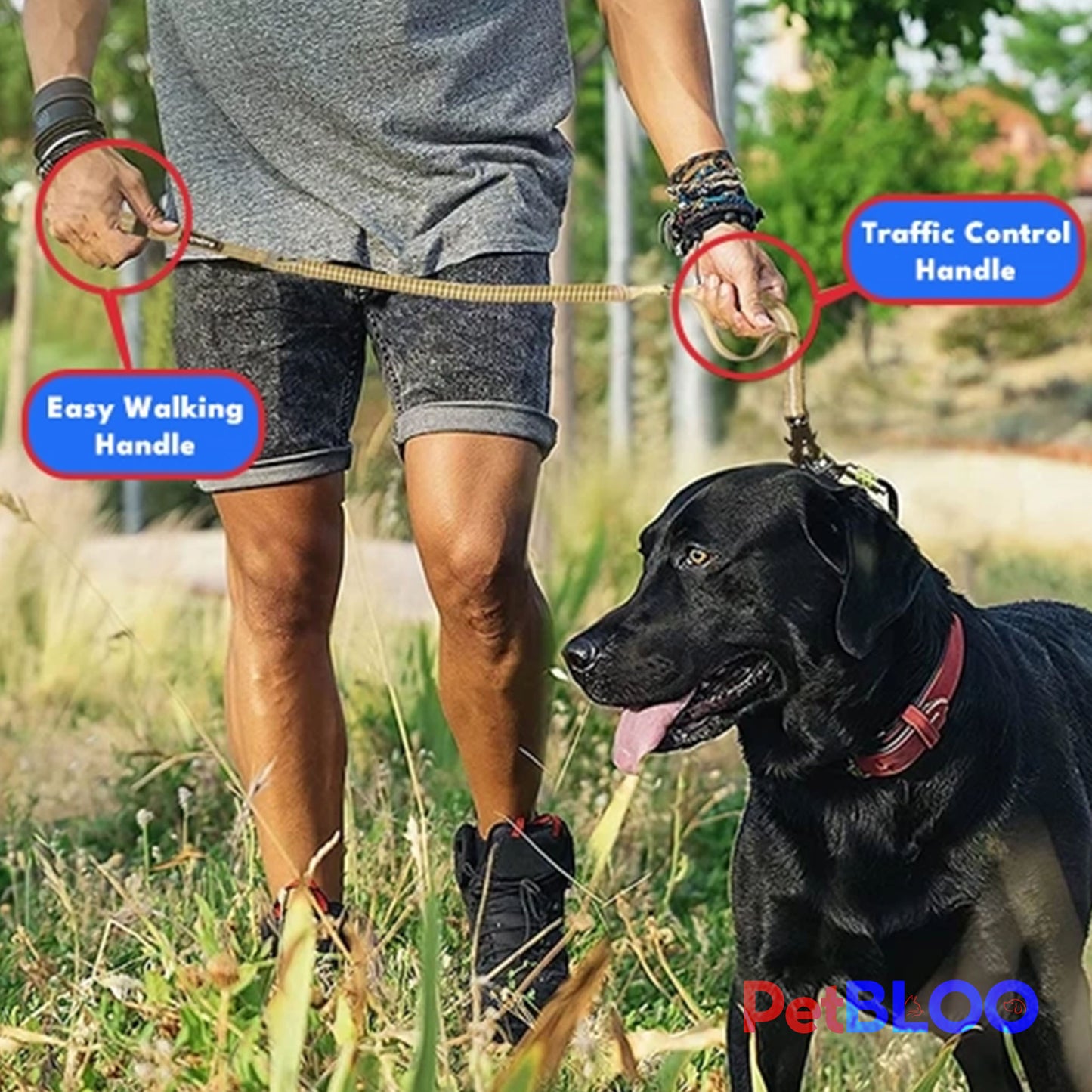 SafeTrek™ Extended Heavy Duty Bungee Leash & Car Seatbelt Buckle