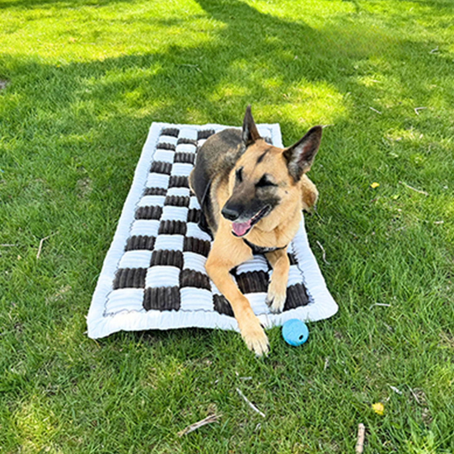 ComfyCushion™ Luxe Dog Bed