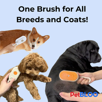 FurEase Pro - Steamy Dog Brush