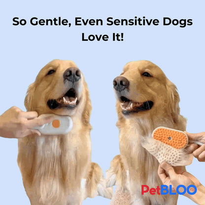 FurEase Pro - Steamy Dog Brush